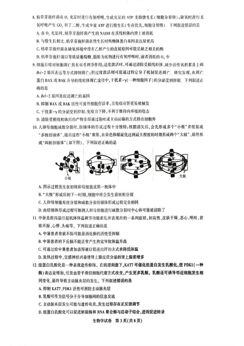 生物_全国高考模拟卷_2026年2月_2602102026届湖北高三圆创联盟2月联考（全科）_2026届湖北高三圆创联盟2月联考生物