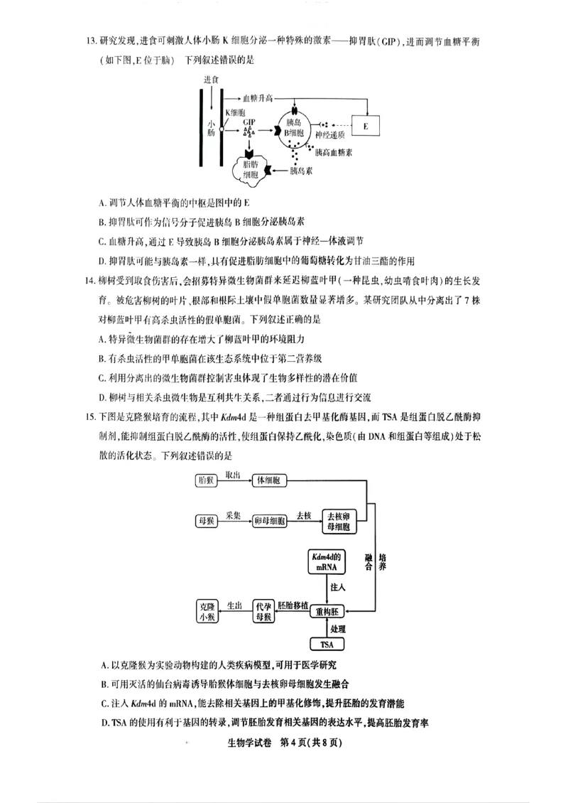 生物_全国高考模拟卷_2026年2月_2602102026届湖北高三圆创联盟2月联考（全科）_2026届湖北高三圆创联盟2月联考生物