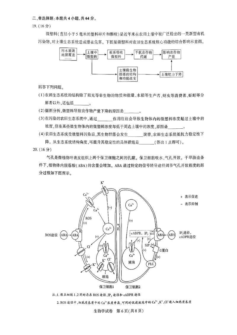 生物_全国高考模拟卷_2026年2月_2602102026届湖北高三圆创联盟2月联考（全科）_2026届湖北高三圆创联盟2月联考生物