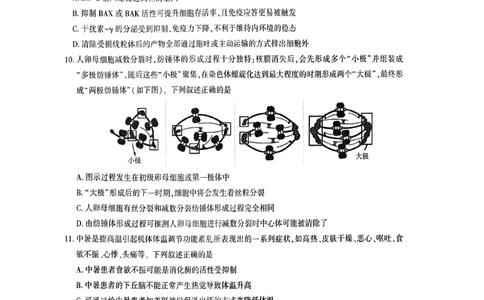 生物_全国高考模拟卷_2026年2月_2602102026届湖北高三圆创联盟2月联考（全科）_2026届湖北高三圆创联盟2月联考生物