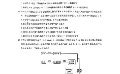 生物_全国高考模拟卷_2026年2月_2602102026届湖北高三圆创联盟2月联考（全科）_2026届湖北高三圆创联盟2月联考生物