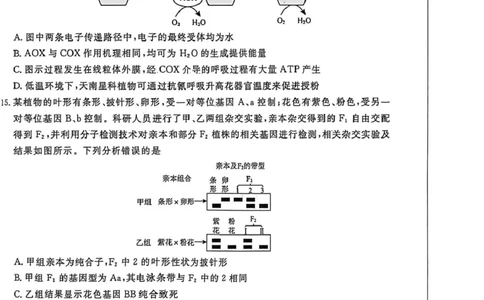 高三生物_全国高考模拟卷_2026年2月_260203河北省2026年高三2月份金科大联考（全科）_河北高三上学期金科联考二月份生物试卷（含答案）