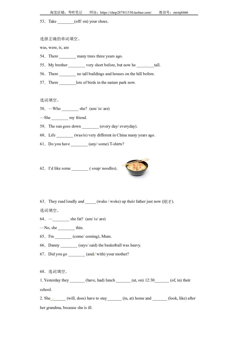 2023年小升初英语语法专题突破-一般过去时北京版_北京小升初全套文件_英语_2022-2023学年小升初英语语法专题突破（北京版）2987575(13)份