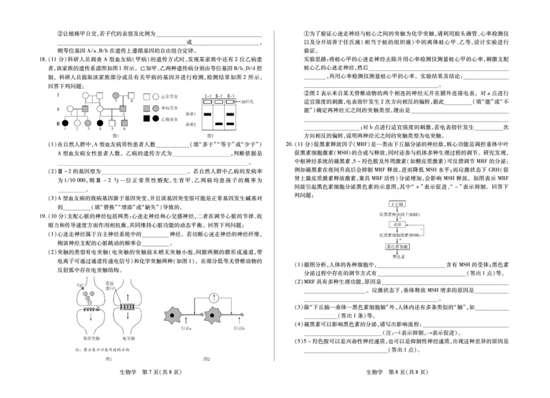 毫州市普通高中2025&mdash;2026学年度第一学期高三期末质量检测生物_全国高考模拟卷_2026年2月_260209安徽省毫州市普通高中2025&mdash;2026学年度第一学期高三期末质量检测（全科）