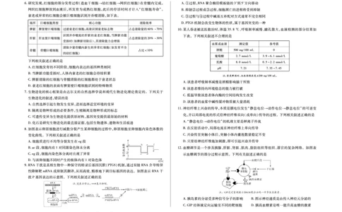 毫州市普通高中2025&mdash;2026学年度第一学期高三期末质量检测生物_全国高考模拟卷_2026年2月_260209安徽省毫州市普通高中2025&mdash;2026学年度第一学期高三期末质量检测（全科）