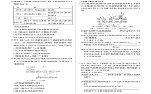 毫州市普通高中2025&mdash;2026学年度第一学期高三期末质量检测生物_全国高考模拟卷_2026年2月_260209安徽省毫州市普通高中2025&mdash;2026学年度第一学期高三期末质量检测（全科）