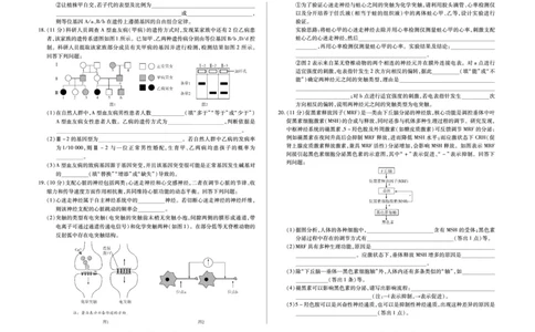 毫州市普通高中2025&mdash;2026学年度第一学期高三期末质量检测生物_全国高考模拟卷_2026年2月_260209安徽省毫州市普通高中2025&mdash;2026学年度第一学期高三期末质量检测（全科）