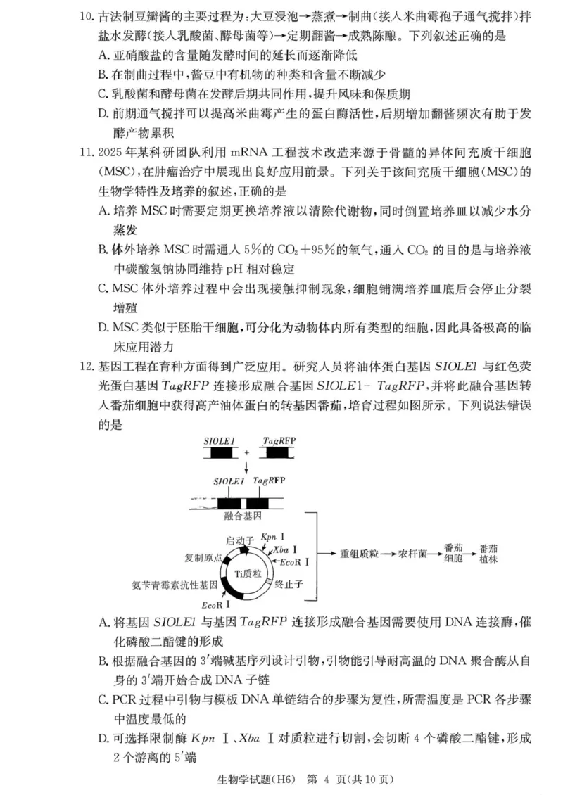 湖南省长沙市雅礼中学2025-2026学年高三上学期2月期末生物试题（含答案）_全国高考模拟卷_2026年2月_260210湖南雅礼中学2025-2026学年高三上学期2月期末（月考六）（全科）