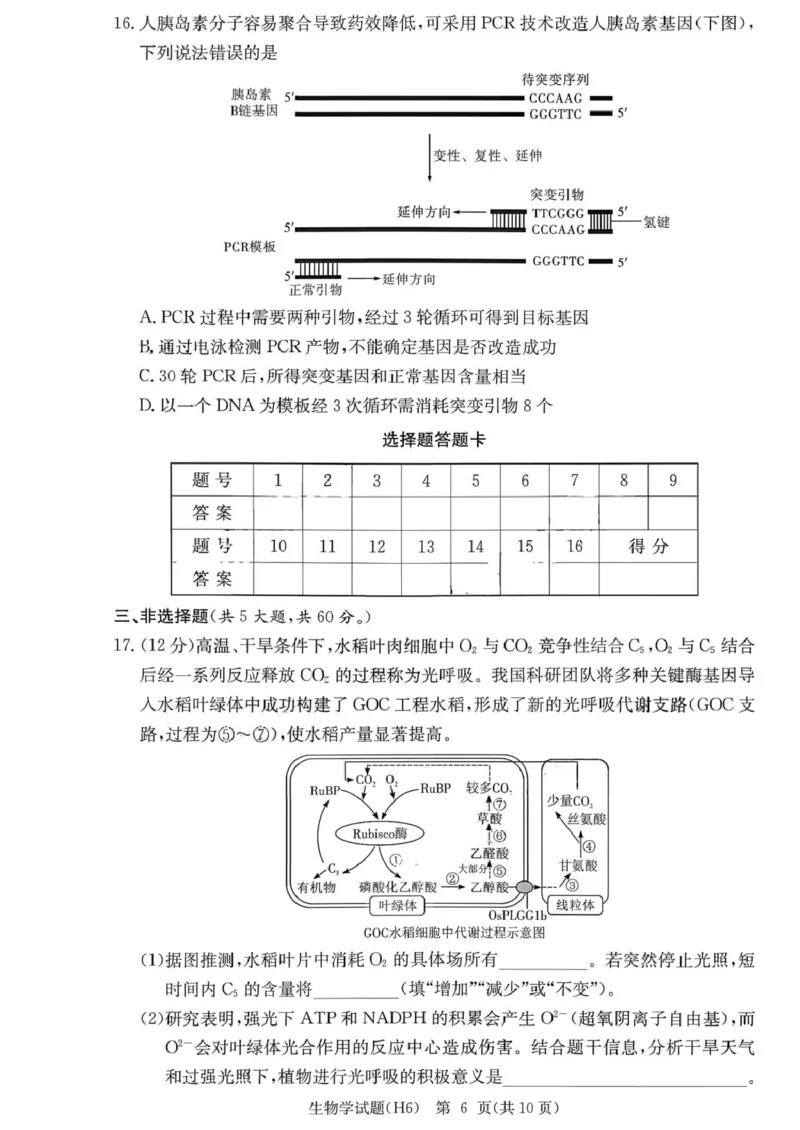 湖南省长沙市雅礼中学2025-2026学年高三上学期2月期末生物试题（含答案）_全国高考模拟卷_2026年2月_260210湖南雅礼中学2025-2026学年高三上学期2月期末（月考六）（全科）