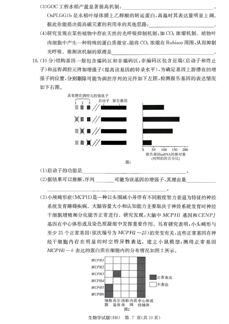 湖南省长沙市雅礼中学2025-2026学年高三上学期2月期末生物试题（含答案）_全国高考模拟卷_2026年2月_260210湖南雅礼中学2025-2026学年高三上学期2月期末（月考六）（全科）