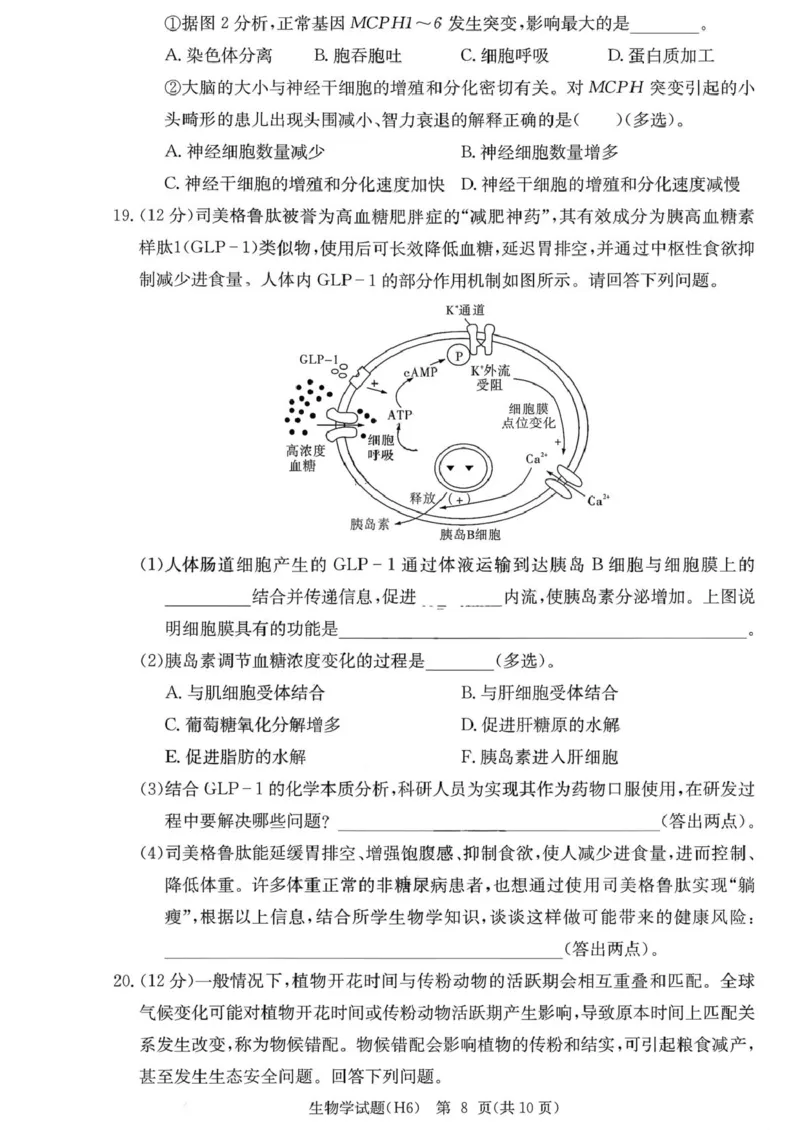 湖南省长沙市雅礼中学2025-2026学年高三上学期2月期末生物试题（含答案）_全国高考模拟卷_2026年2月_260210湖南雅礼中学2025-2026学年高三上学期2月期末（月考六）（全科）