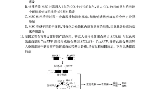 湖南省长沙市雅礼中学2025-2026学年高三上学期2月期末生物试题（含答案）_全国高考模拟卷_2026年2月_260210湖南雅礼中学2025-2026学年高三上学期2月期末（月考六）（全科）