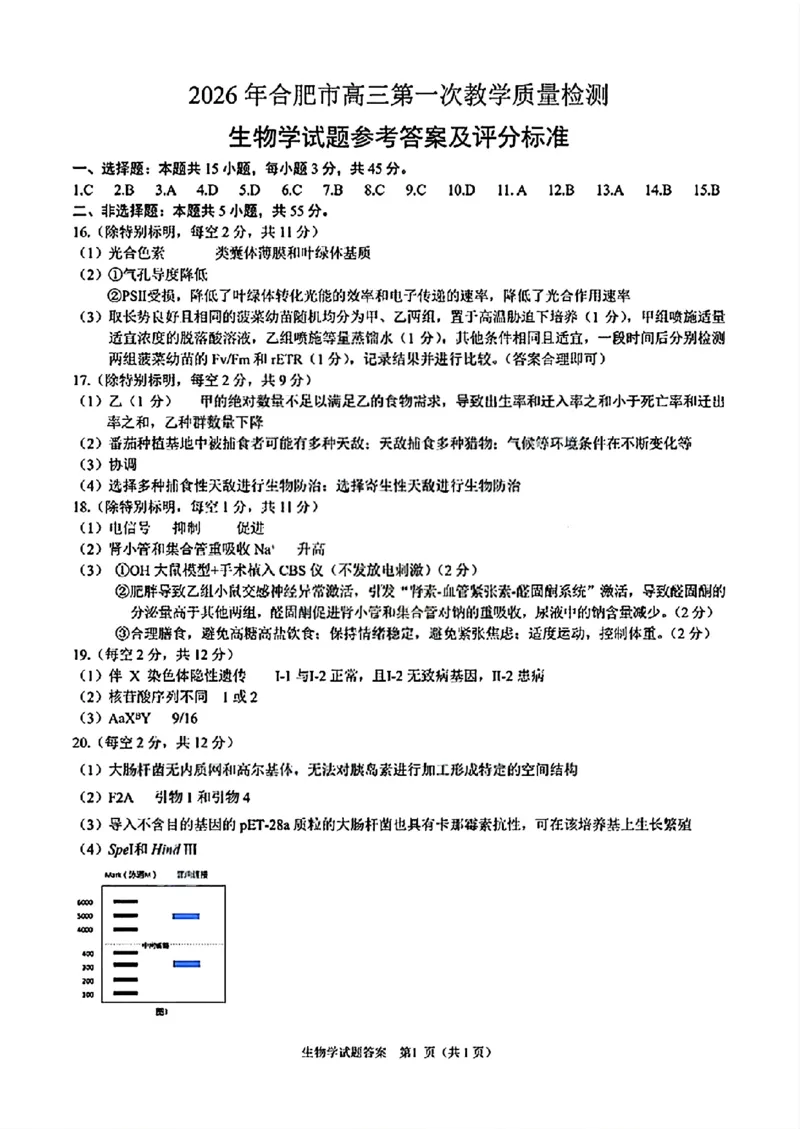 生物答案_全国高考模拟卷_2026年2月_260210安徽省合肥市2026届高三上学期第一次教学质量检测（一模）（全科）
