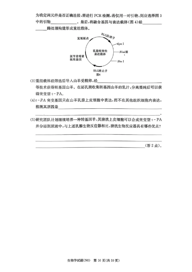 长郡中学2026届高三月考试卷（六）生物_全国高考模拟卷_2026年2月_260212湖南省长沙市长郡中学2026届高三年级月考（六）（全科）