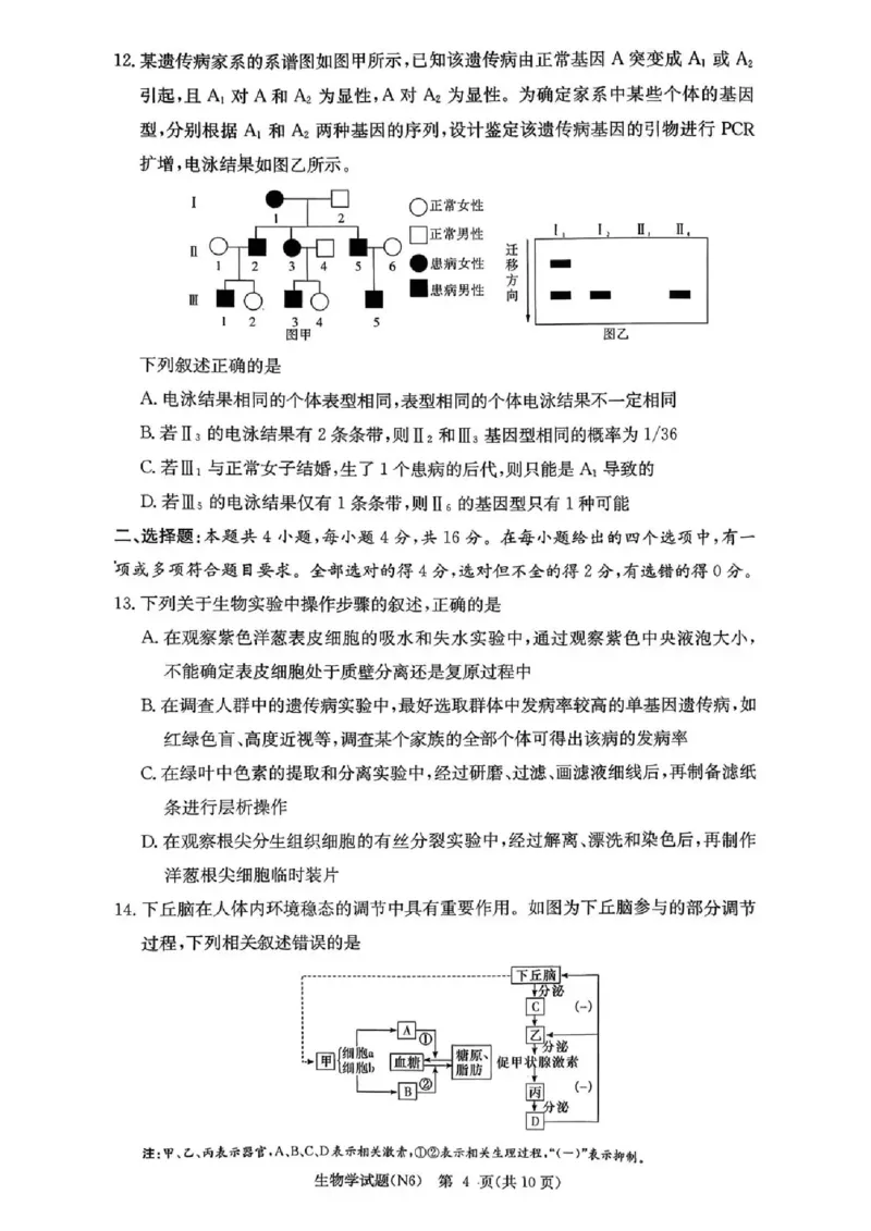 长郡中学2026届高三月考试卷（六）生物_全国高考模拟卷_2026年2月_260212湖南省长沙市长郡中学2026届高三年级月考（六）（全科）