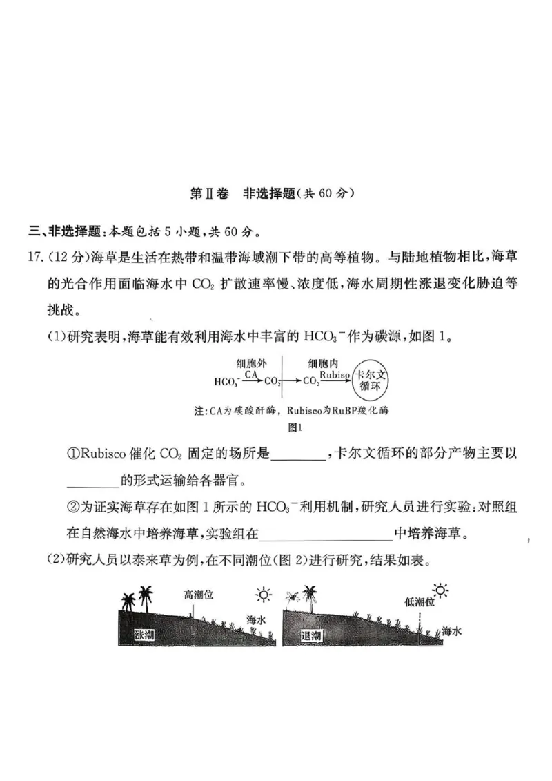 长郡中学2026届高三月考试卷（六）生物_全国高考模拟卷_2026年2月_260212湖南省长沙市长郡中学2026届高三年级月考（六）（全科）