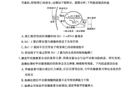 长郡中学2026届高三月考试卷（六）生物_全国高考模拟卷_2026年2月_260212湖南省长沙市长郡中学2026届高三年级月考（六）（全科）