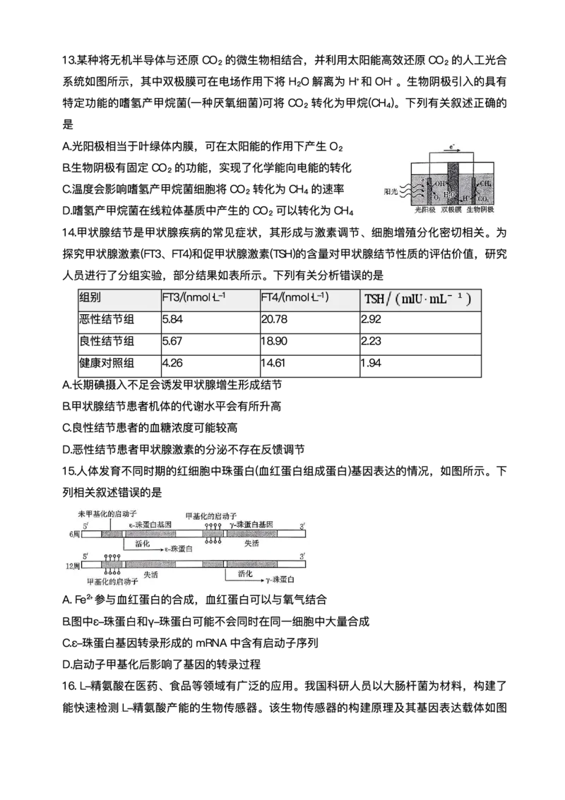 陕西省商洛市2026届高三上学期2月期末考试生物+答案_全国高考模拟卷_2026年2月_260211金太阳&middot;陕西省商洛市2026届高三上学期2月期末考试（全科）