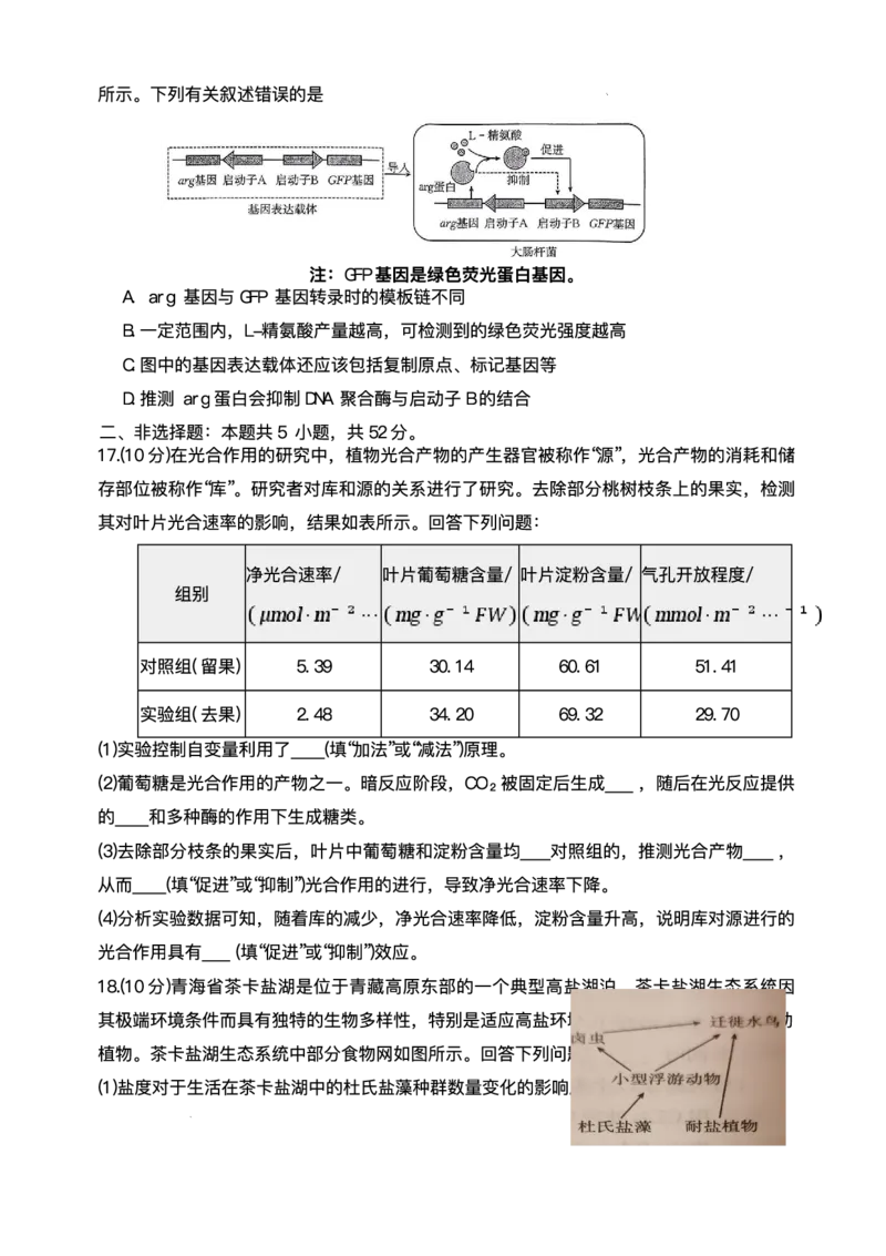 陕西省商洛市2026届高三上学期2月期末考试生物+答案_全国高考模拟卷_2026年2月_260211金太阳&middot;陕西省商洛市2026届高三上学期2月期末考试（全科）