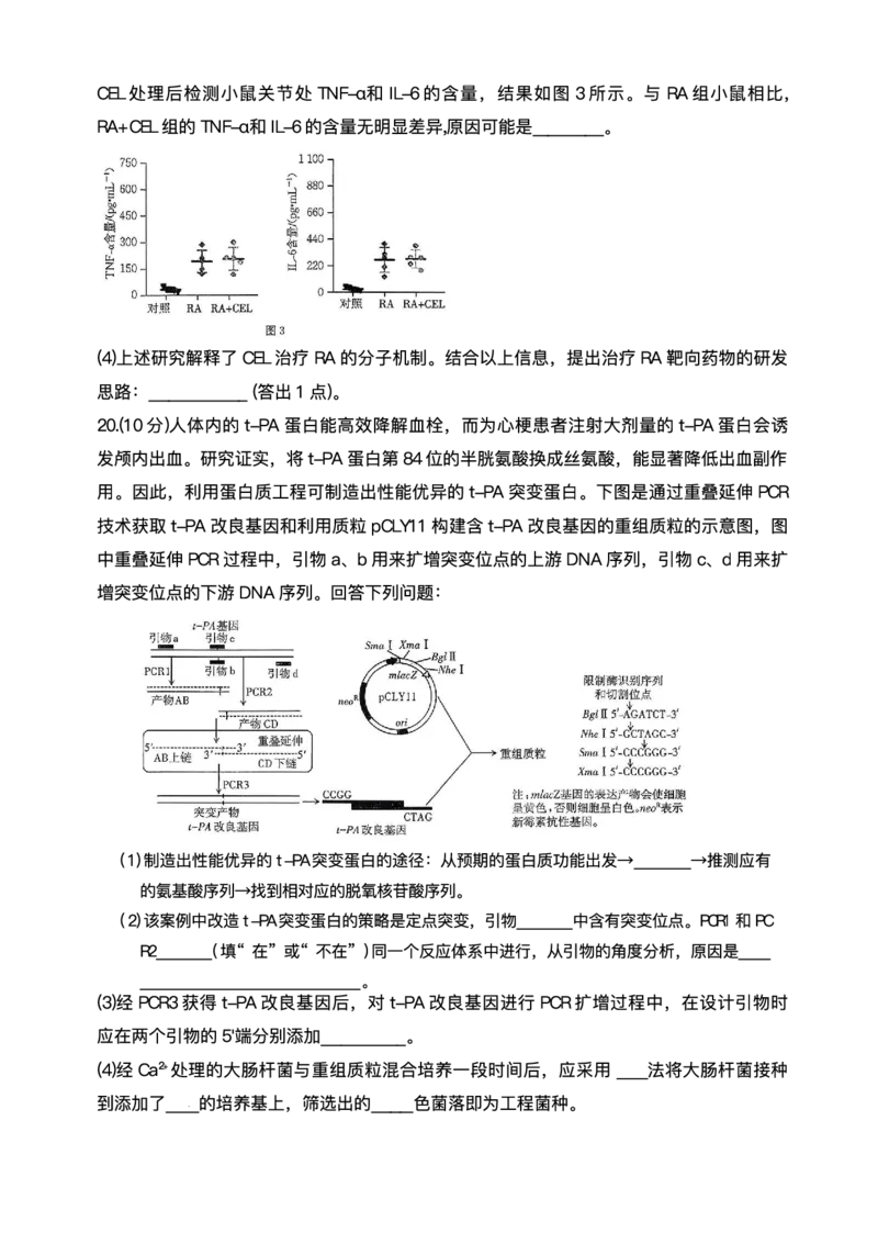 陕西省商洛市2026届高三上学期2月期末考试生物+答案_全国高考模拟卷_2026年2月_260211金太阳&middot;陕西省商洛市2026届高三上学期2月期末考试（全科）