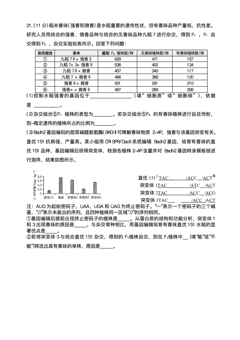陕西省商洛市2026届高三上学期2月期末考试生物+答案_全国高考模拟卷_2026年2月_260211金太阳&middot;陕西省商洛市2026届高三上学期2月期末考试（全科）