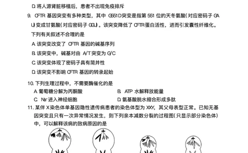 陕西省商洛市2026届高三上学期2月期末考试生物+答案_全国高考模拟卷_2026年2月_260211金太阳&middot;陕西省商洛市2026届高三上学期2月期末考试（全科）