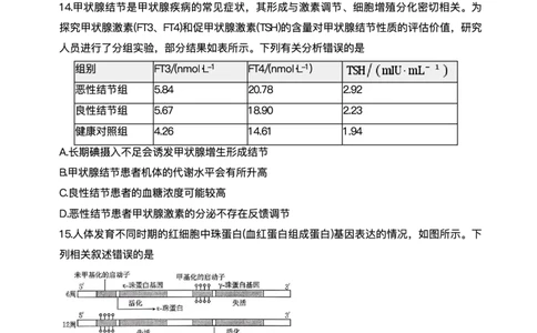 陕西省商洛市2026届高三上学期2月期末考试生物+答案_全国高考模拟卷_2026年2月_260211金太阳&middot;陕西省商洛市2026届高三上学期2月期末考试（全科）