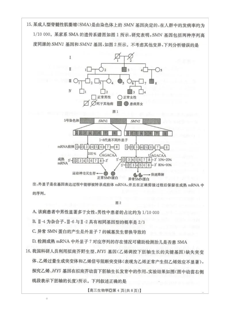 高三生物_全国高考模拟卷_2026年2月_260204金太阳&middot;河北省邢台市2026届高三（上）学业水平调研（全科）_河北省邢台市2025-2026学年高三上学期学业水平调研考试生物