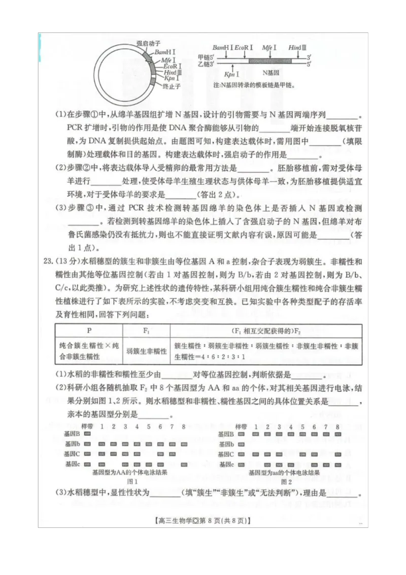 高三生物_全国高考模拟卷_2026年2月_260204金太阳&middot;河北省邢台市2026届高三（上）学业水平调研（全科）_河北省邢台市2025-2026学年高三上学期学业水平调研考试生物
