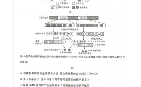 高三生物_全国高考模拟卷_2026年2月_260204金太阳&middot;河北省邢台市2026届高三（上）学业水平调研（全科）_河北省邢台市2025-2026学年高三上学期学业水平调研考试生物