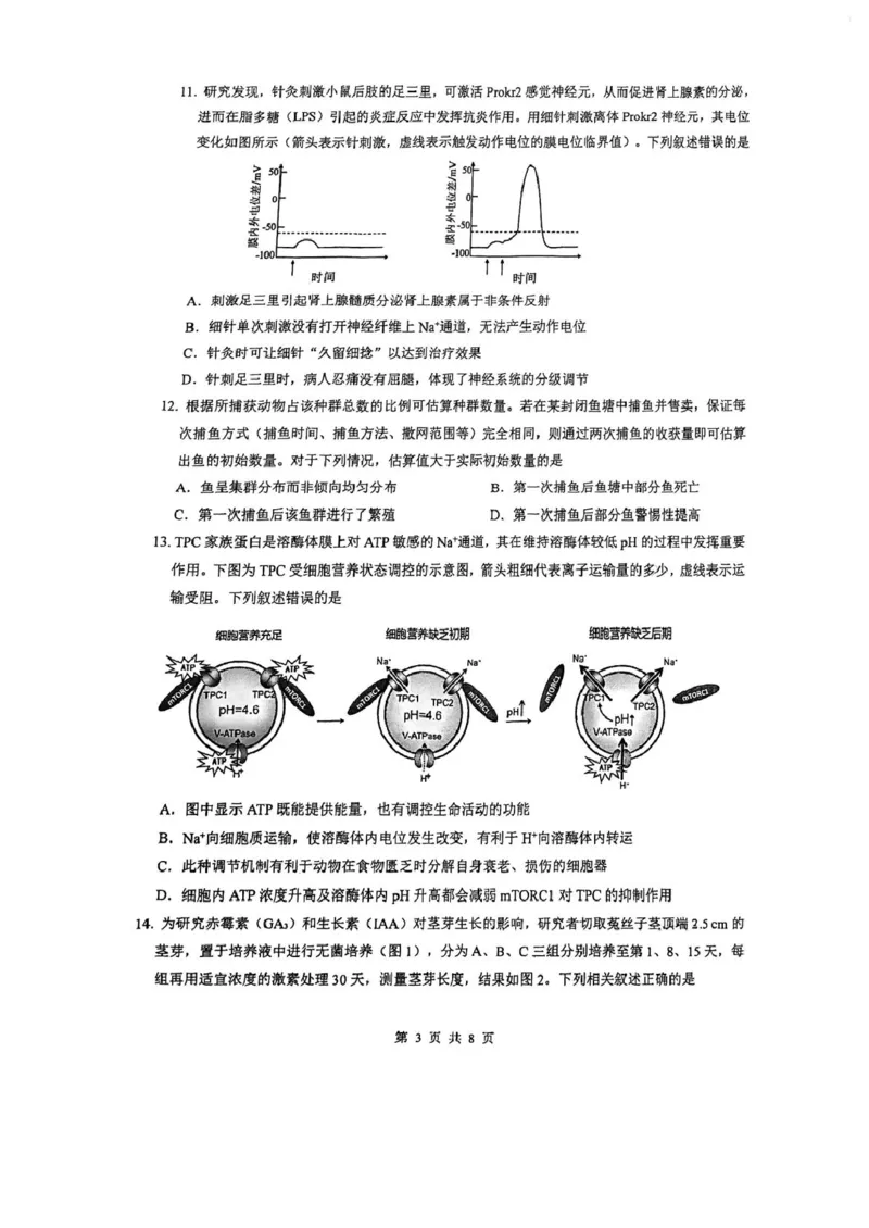 生物试题卷_全国高考模拟卷_2026年2月_260205广东省华附、省实、广雅、深中2026届高三四校联考1月期末