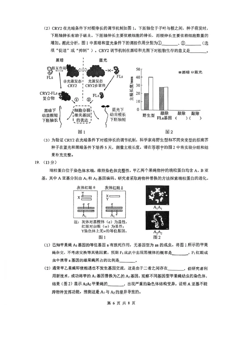 生物试题卷_全国高考模拟卷_2026年2月_260205广东省华附、省实、广雅、深中2026届高三四校联考1月期末