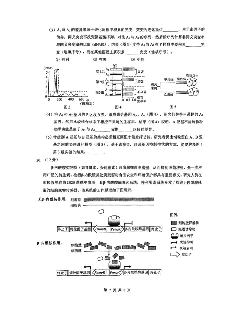 生物试题卷_全国高考模拟卷_2026年2月_260205广东省华附、省实、广雅、深中2026届高三四校联考1月期末