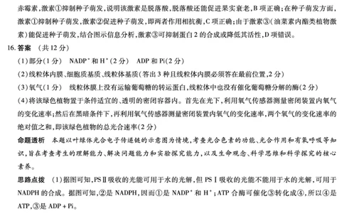 毫州市普通高中2025&mdash;2026学年度第一学期高三期末质量检测生物答案_全国高考模拟卷_2026年2月_260209安徽省毫州市普通高中2025&mdash;2026学年度第一学期高三期末质量检测（全科）