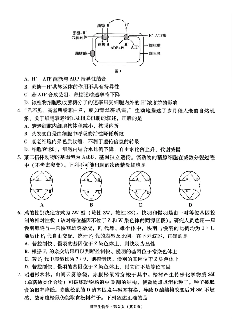 云南省昭通市2026届高中毕业生模拟考试生物_全国高考模拟卷_2026年2月_260206云南省昭通市2026届高中毕业生模拟考试（全科）