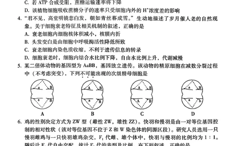 云南省昭通市2026届高中毕业生模拟考试生物_全国高考模拟卷_2026年2月_260206云南省昭通市2026届高中毕业生模拟考试（全科）