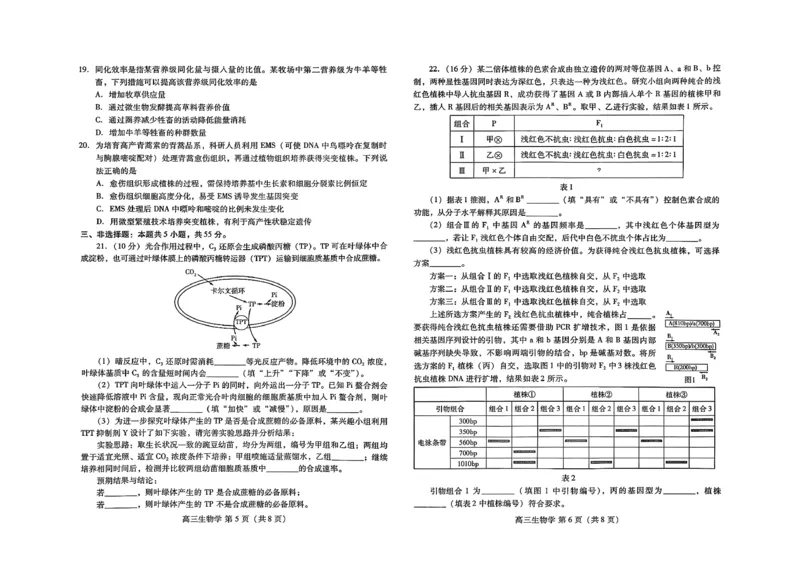 生物试题_全国高考模拟卷_2026年2月_260210（潍坊一模）潍坊市2026年2月高考模拟考试（全科）