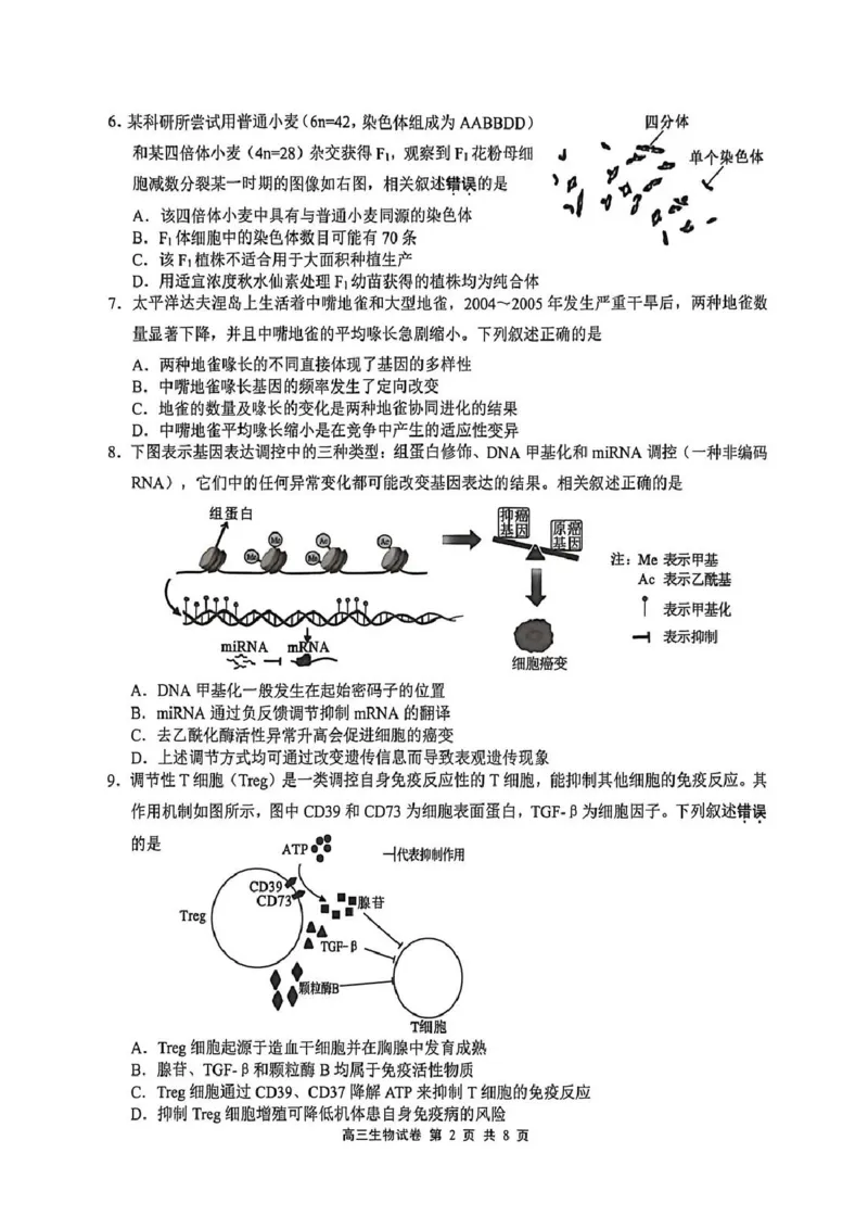 江苏省无锡市2025-2026学年高三上学期期末考试生物试题（含答案）_全国高考模拟卷_2026年2月_260205江苏省无锡市2025-2026学年高三上学期期末考试（全科）