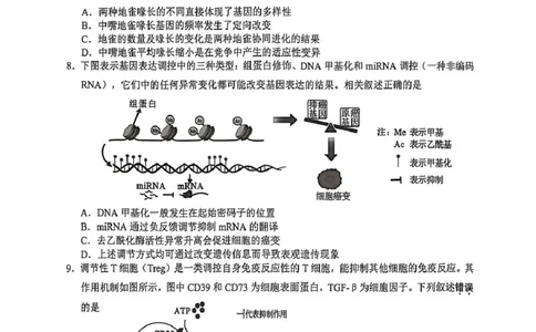 江苏省无锡市2025-2026学年高三上学期期末考试生物试题（含答案）_全国高考模拟卷_2026年2月_260205江苏省无锡市2025-2026学年高三上学期期末考试（全科）
