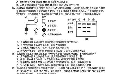 江苏省无锡市2025-2026学年高三上学期期末考试生物试题（含答案）_全国高考模拟卷_2026年2月_260205江苏省无锡市2025-2026学年高三上学期期末考试（全科）