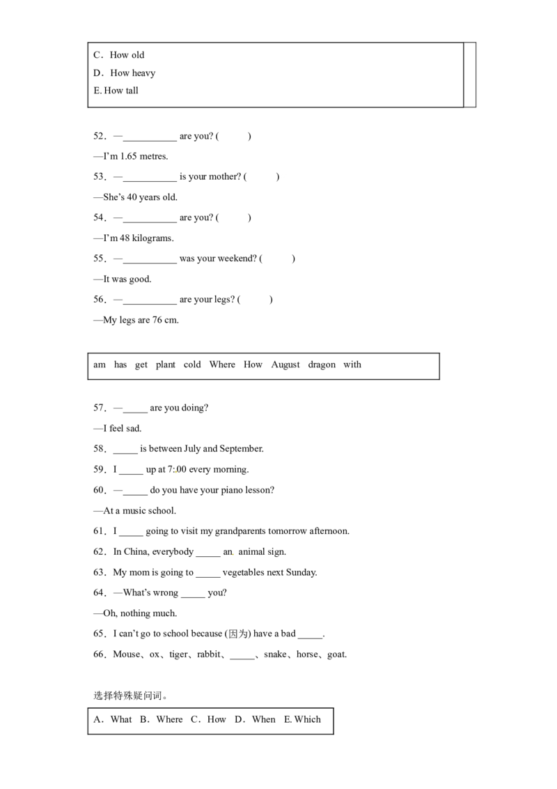 2023年小升初英语语法专题突破-疑问句北京版_北京小升初全套文件_英语_2023学年小升初英语语法专题突破（北京版）(13)份
