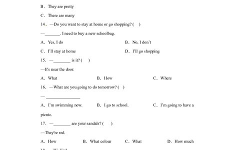 2023年小升初英语语法专题突破-疑问句北京版_北京小升初全套文件_英语_2023学年小升初英语语法专题突破（北京版）(13)份