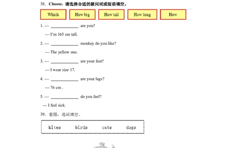 2023年小升初英语语法专题突破-疑问句北京版_北京小升初全套文件_英语_2023学年小升初英语语法专题突破（北京版）(13)份