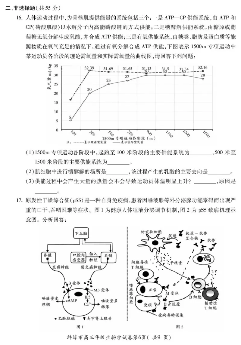 高三生物_全国高考模拟卷_2026年2月_260208安徽蚌埠市2026届高三年级第第一次教学质量检查考试（全科）_安徽蚌埠市2026届高三年级第第一次教学质量检查考试生物试题（含答案）