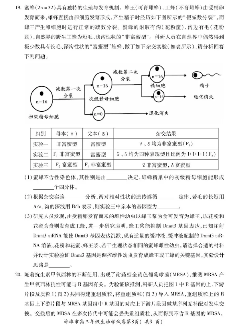 高三生物_全国高考模拟卷_2026年2月_260208安徽蚌埠市2026届高三年级第第一次教学质量检查考试（全科）_安徽蚌埠市2026届高三年级第第一次教学质量检查考试生物试题（含答案）
