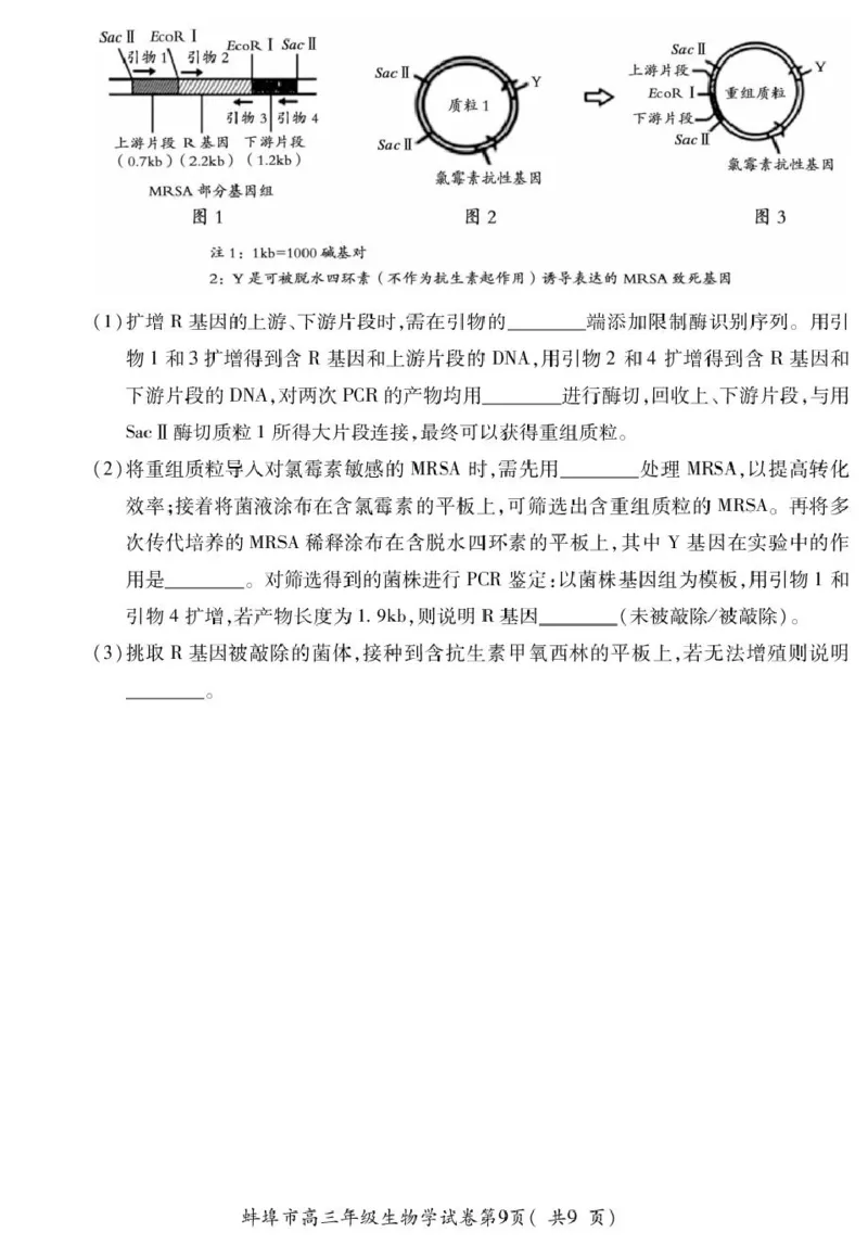 高三生物_全国高考模拟卷_2026年2月_260208安徽蚌埠市2026届高三年级第第一次教学质量检查考试（全科）_安徽蚌埠市2026届高三年级第第一次教学质量检查考试生物试题（含答案）
