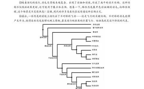 安徽省鼎尖联考2025-2026学年高三上学期期末过程性学科素质评价语文_全国高考模拟卷_2026年2月_260209安徽省鼎尖联考2025-2026学年高三上学期期末过程性学科素质评价（全科）