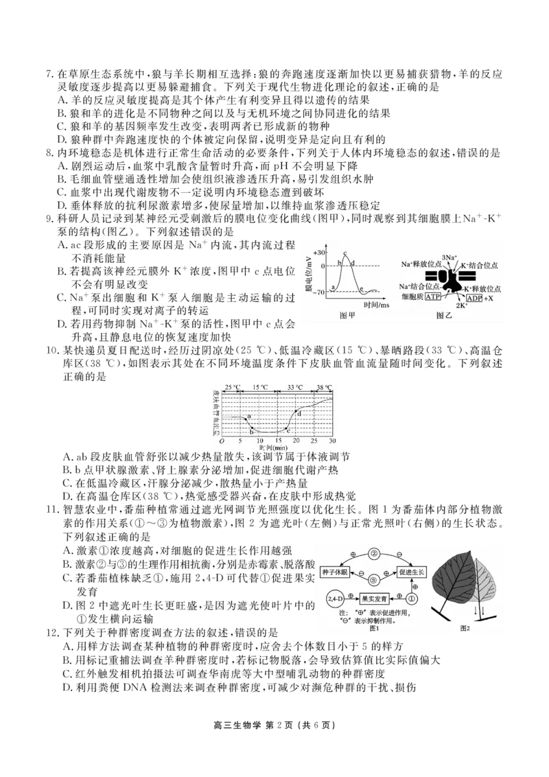 辽宁省点石联考2026届高三期末质量监测生物_全国高考模拟卷_2026年2月_260201辽宁省点石联考2026届高三期末质量监测（全科）