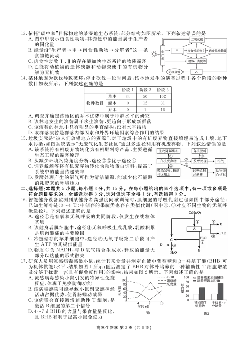 辽宁省点石联考2026届高三期末质量监测生物_全国高考模拟卷_2026年2月_260201辽宁省点石联考2026届高三期末质量监测（全科）