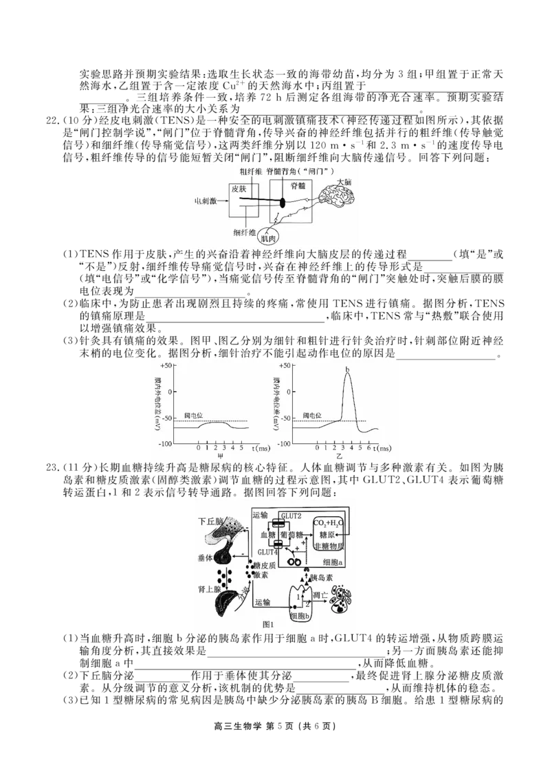辽宁省点石联考2026届高三期末质量监测生物_全国高考模拟卷_2026年2月_260201辽宁省点石联考2026届高三期末质量监测（全科）